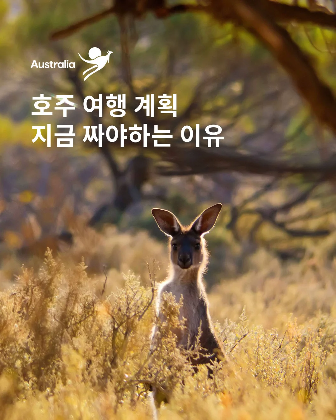 TOURISM AUSTRALIA 호주정부관광청