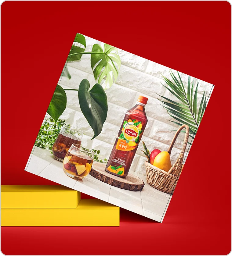 LIPTON 립톤