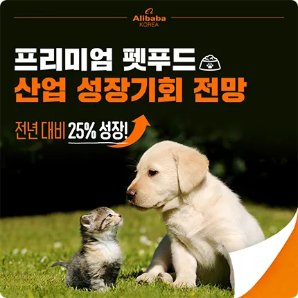 알리바바 그룹 알리바바 그룹