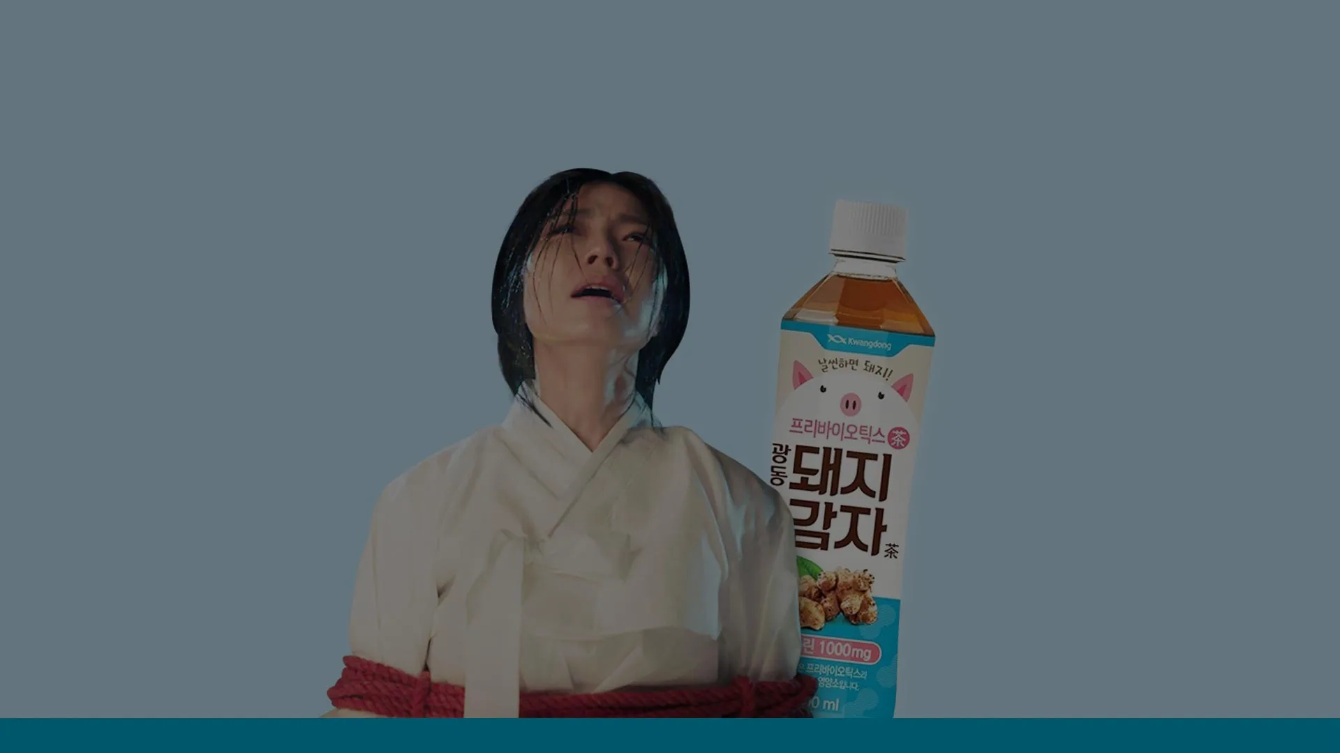 광동제약 돼지감자차 광동제약 돼지감자차