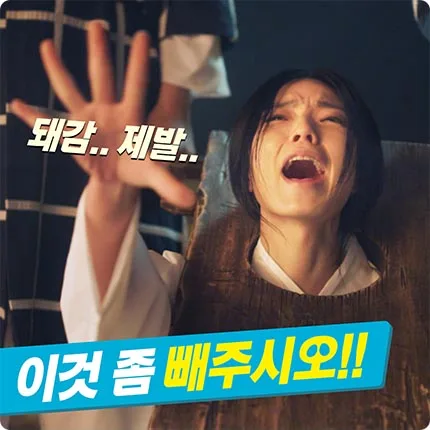 광동제약 돼지감자차 광동제약 돼지감자차