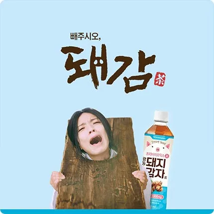 광동제약 돼지감자차 광동제약 돼지감자차