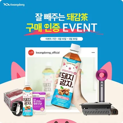 광동제약 돼지감자차 광동제약 돼지감자차