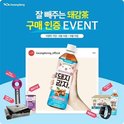 광동제약 돼지감자차 광동제약 돼지감자차