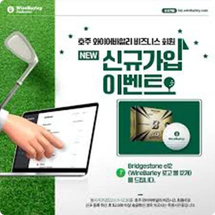 와이어바알리 와이어바알리