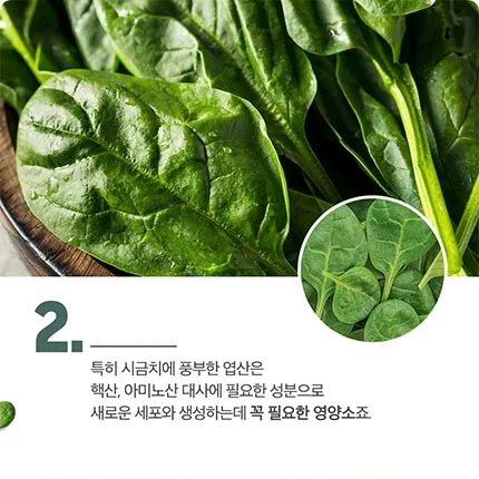 네추럴라이즈 네추럴라이즈
